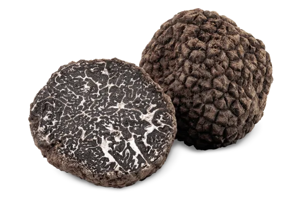 Whole black truffles calibre 15g to 30g Tuber Melanosporum Vittad.