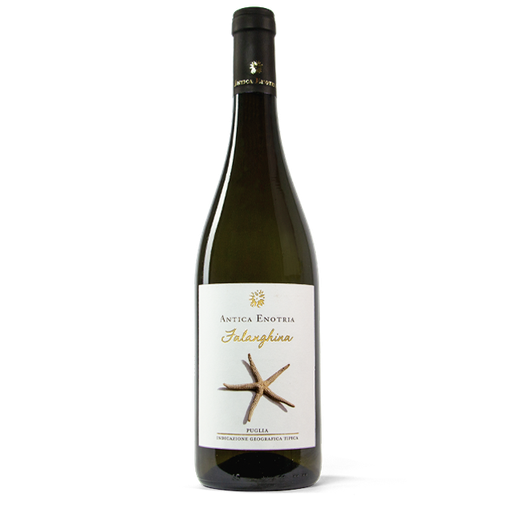 [PVIN00015] Falanghina IGT