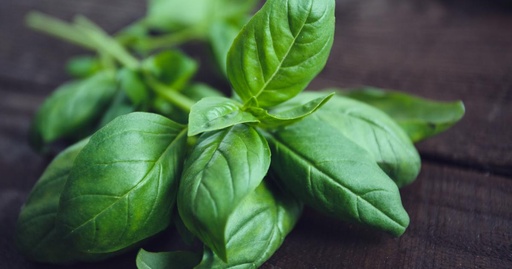 [PFRU00011] Basilic frais 