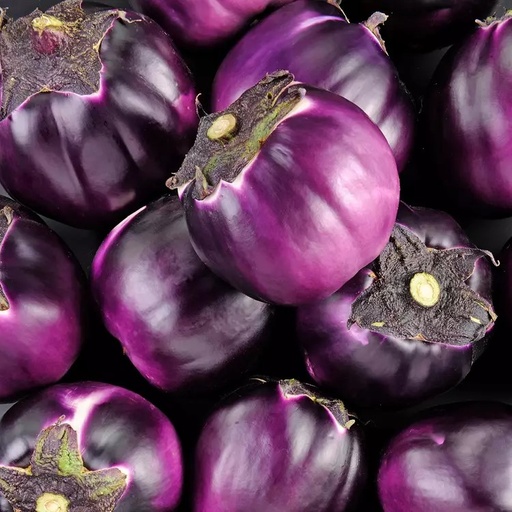 [PFRU00012] Aubergines violettes 
