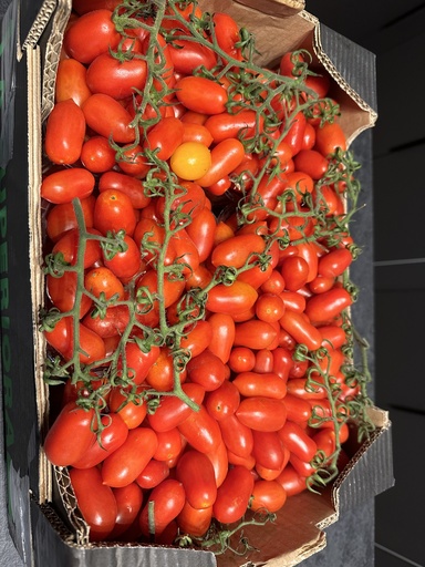 [PFRU00013] Tomato Datterino 1kg