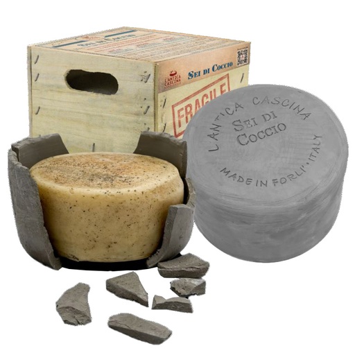 [PFRO00126] Sei di Coccio affiné en terre cuite 