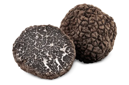 [PHUI00150] Truffes noires entières calibre 15g à 30g Tuber Melanosporum Vittad.