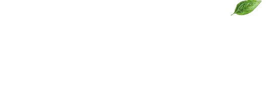Pepe Bacio B2B