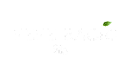 Pepe Bacio B2B